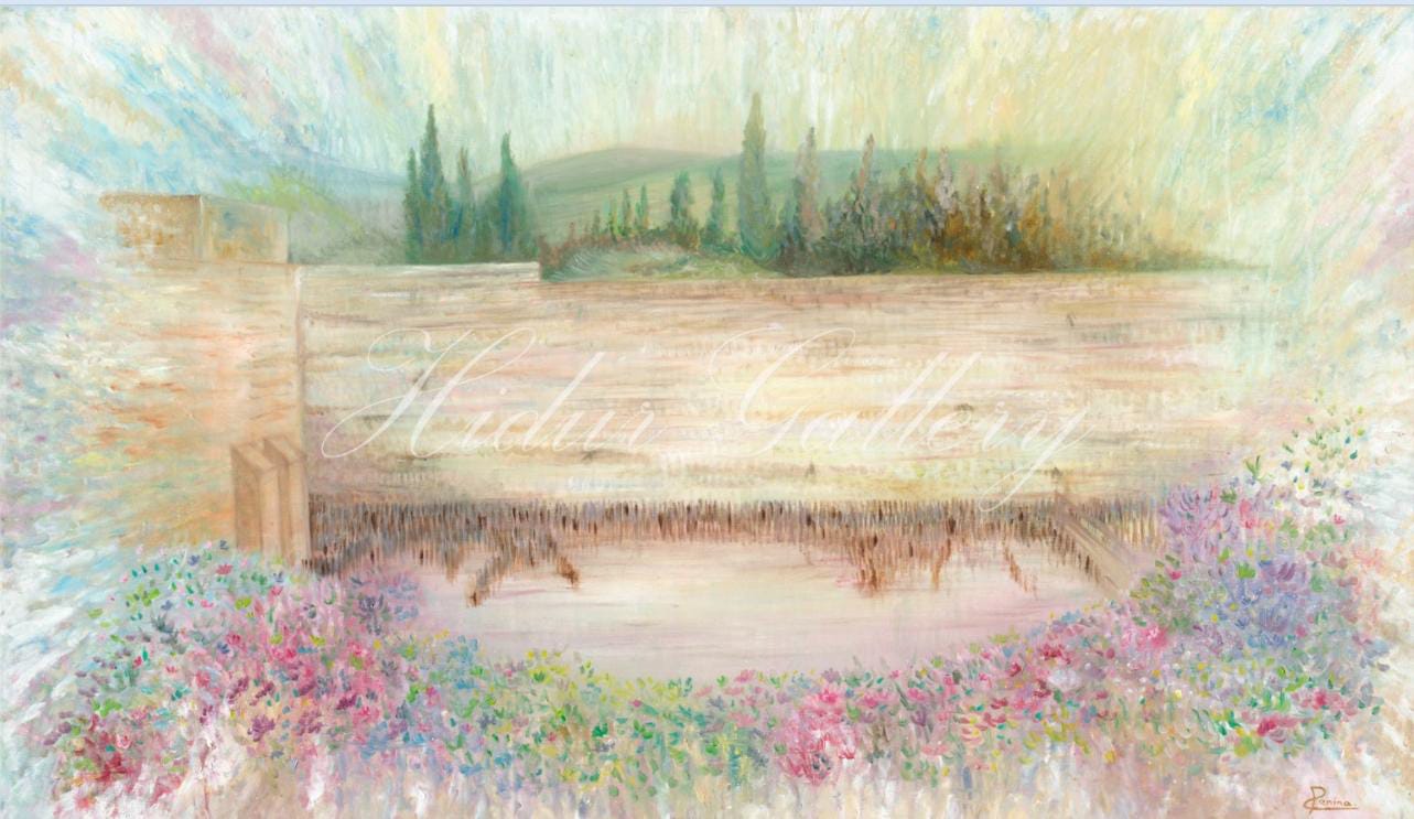 תמונה של הכותל | פנינה שליידר