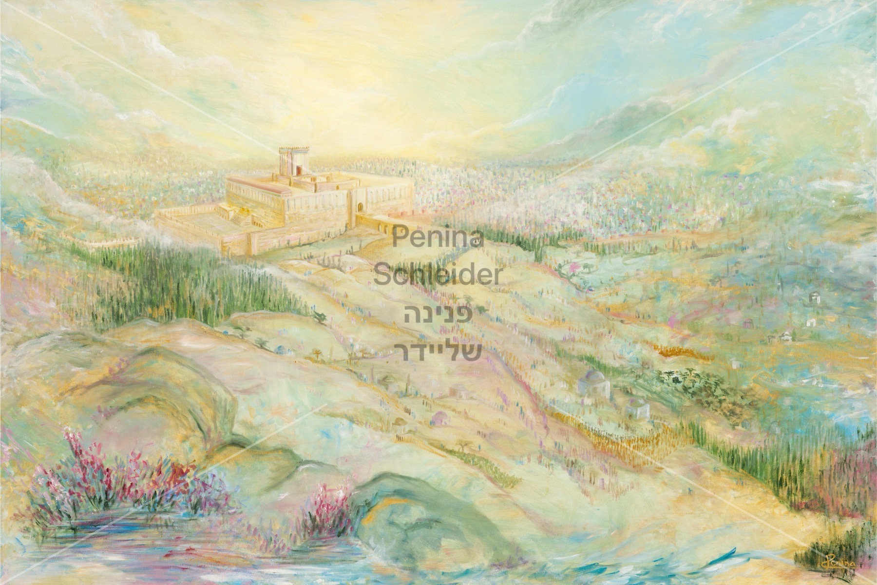 תמונה של ארץ הקודש | פנינה שליידר