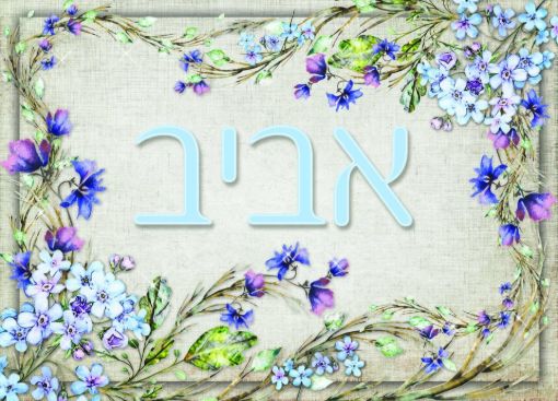 תמונה של שלט מעוצב לבית דגם אביב