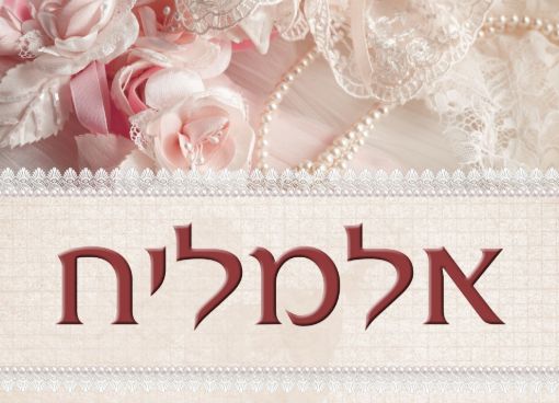 תמונה של שלט מעוצב לבית דגם אלמליח