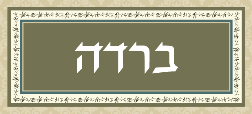 תמונה של שלט מעוצב לבית דגם ברדה