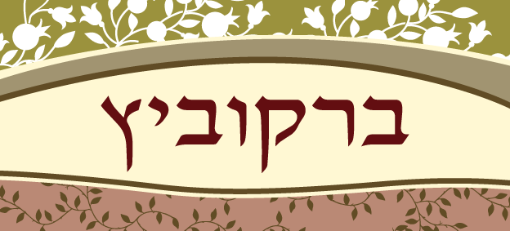 תמונה של שלט מעוצב לבית דגם ברקוביץ
