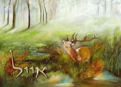 תמונה של שלט מעוצב לבית דגם אייל