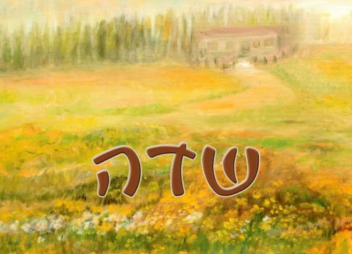 תמונה של שלט מעוצב לבית דגם שדה
