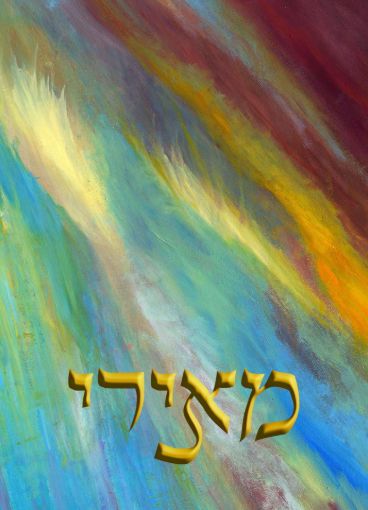 תמונה של שלט מעוצב לבית דגם מאירי