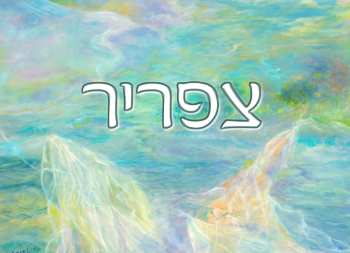 תמונה של שלט מעוצב לבית דגם צפריר